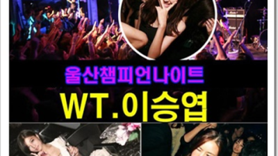 강력추천 울산챔피언나이트 사람 거부할 수 없는 유혹 울산챔피언나이트나이제한 삼산동쩜오