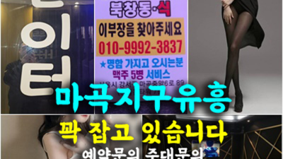 마곡골든타워 제대로 된 서비스 1등웨이터 24시간 상담환영 마곡퍼블릭 마곡하이퍼블릭 발산역셔츠룸