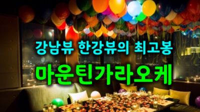 마운틴가라오케 사랑한 프로서비스맨 달려보겠습니다 강남파티룸 신사동셔츠